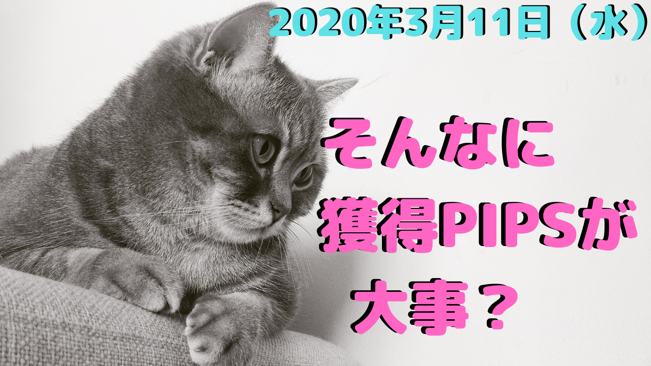 【ＦＸ】そんなに獲得値幅（pips）が大事？【デイトレ】