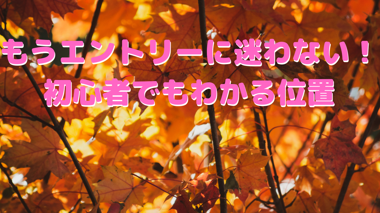 エントリーにはもう迷わない！初心者でもわかりやすいエントリー位置