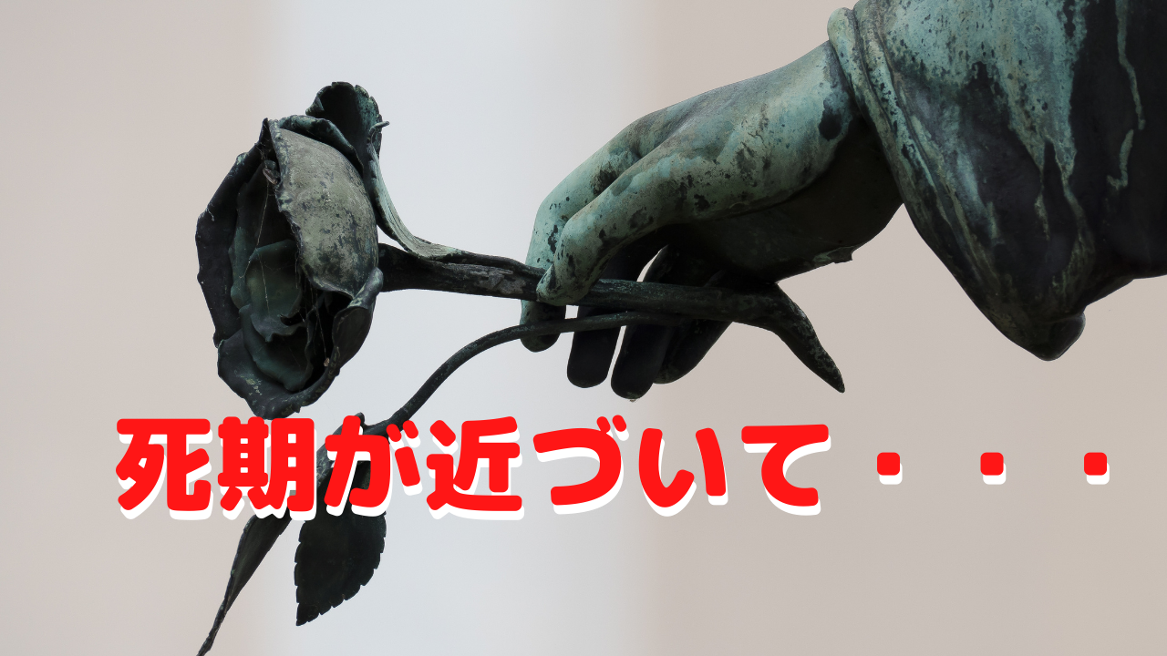 死期が近づいて・・・