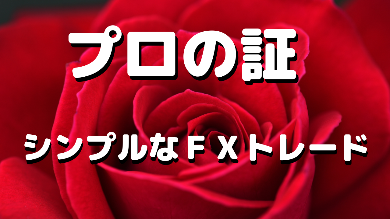 心が落ち着く安定したＦＸ取引方法～プロトレーダー～