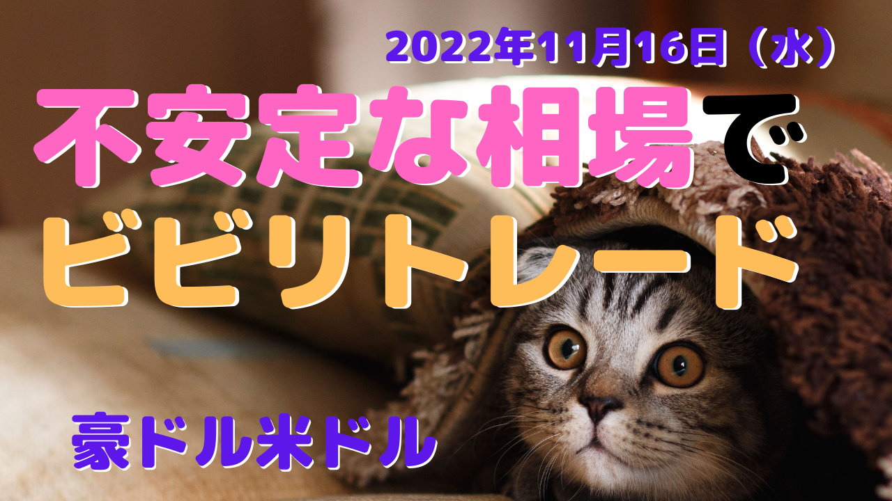 不安定な相場でビビリトレード～豪ドル米ドル実践トレード2022年11月16日（水）