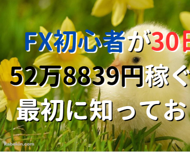 FX初心者が30日で52万8839円稼ぐために最初に知っておくこと