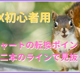 チャートの転換ポイントをたった二本のラインで見抜くFX初心者用