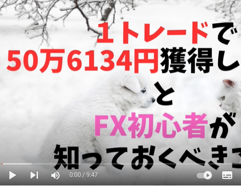 1トレードで50万6134円獲得した方法とFX初心者が知っておくべきこと