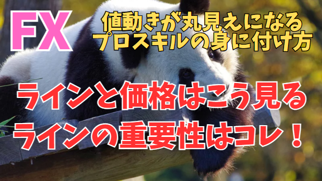 FXラインと価格はこう見ます  ラインの重要性はコレ！  ～値動きが丸見えになるプロスキルの身に付け方～
