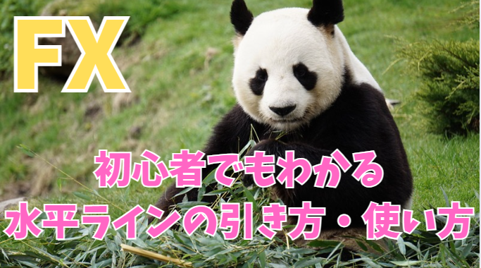 FX初心者でもわかる水平ラインの引き方・使い方